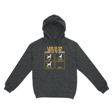 Load image into Gallery viewer, Labrador Retriever Standard Hoodie | Funny Guide to Training dog - FSD2399D08